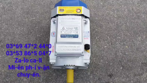 Động cơ điện 1 pha 220v 3kw (4hp) tốc nhanh 2900v/p đồng Hàn Quốc 100% võ bằng hợp kim nhôm truc 24mm