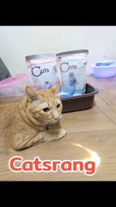 Catsrang อาหารแมว แคทรัง สูตรแมวเด็ก Kitten เกรดซูเปอร์พรีเมียม Super premium | JT Petworld
