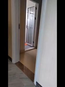 Reusable Dehumidifier Bag Moisture Absorber Mildew Drying Agent Deodorizing Desiccant 【5 pack/Set 】活性炭除甲醛新房装修除味碳包