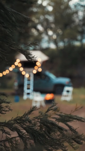 LAVICY Parfume Mobil Pengharum Ruangan Aromatherapy Citronella Fraichela Tahan Lama 10ml