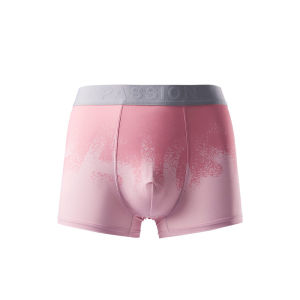 Hotwind Mens Gradient Letter Boxer Briefs Comfortable Breathable Mid-Waist Briefs Underwear Youth Suitable Flat Angle Pants