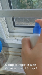 HOUSE LIZARD SPRAY REPELLENT by G-UARD - Essential Oil Formula [NEXT DAY SHIPPING] (Cicak/壁虎/பல்லி)