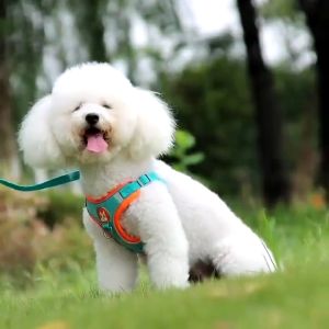 Pet Dog Harness Leash Set Reflective Adjustable Puppy harness Outdoors Walking Running Vest Harness