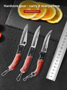 TINGLING | Stainless Foldable Portable Mini Knife with Keychain