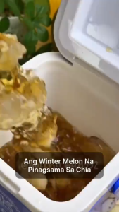 Lemon Winter Melon Chia Tea with Real Chia Seeds | High Fiber Wellness Drink | Less Bloating Support