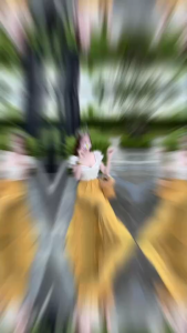 TT56 :  กระโปรงยาวผ้าชีฟองสุดหวาน กระโปรงเอวสูง เอวยางยืด ใส่สบาย แฟชั่นผู้หญิง [จัดส่งทันที !!]