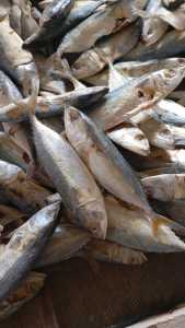 Ikan asin pesisir PEDA KEMBUNG PUTIH 1kg