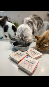 McAdams Cat Succulent Wet Trays Free Range Chicken 100 g อาหารเปียกสำหรับแมว สูตรไก่ฟรีเร้นจ์