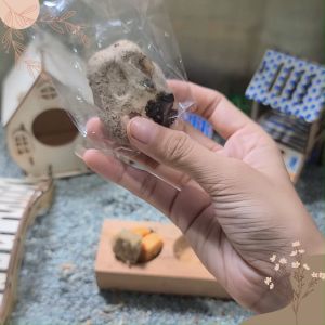 Hamtoro Veggie Biscuit Snack LENGKAP Kelinci Hamster Marmut Makanan Sayuran Tinggi Vitamin