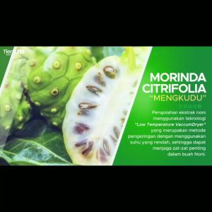 ubat kolesterol tinggi dan tekanan darah tinggi TIENS NONITREND 100% HERBAL ALAMI