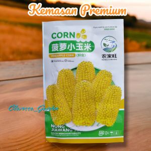 (KEMASAN PREMIUM) BENIH/BIJI JAGUNG YELLOW MINI STRAWBERRY POPCORN (isi -+45 butir)