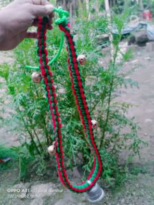 kalung sapi pengaman dari maling