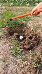 Cangkul Taman Tahan Lama Untuk Penyiangan Alat Berkebun Cangkul Gulma Baja Berkebun Penanaman Penggalian