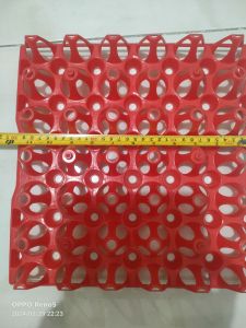 Egg Tray Jambo to Small Bundle