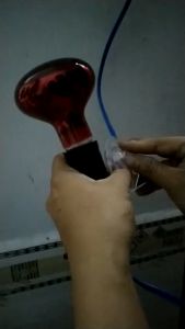 1 bộ đèn kẹp ngắn kèm đèn sưởi (lắp vào lồng sưởi ấm cho chim vẹt chó mèo gà vịt) điều chỉnh được nhiệt độ