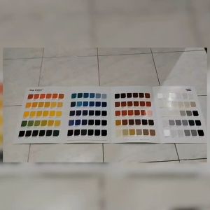 KATALOG CAT TOP COLOR DANAPAINT LEMBARAN NC AUTOMOTIVE PAINT