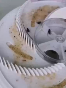 Fly Trap – เครื่องดักแมลงวันอัตโนมัติ รุ่น FT-230 | by ChillPulse