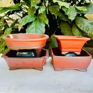 Compo 4 chậu Bát Tràng nâu đỏ trồng sen đá xương rồng bonsai