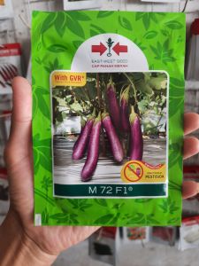 Benih Terong ungu M72 F1 Isi 1.100biji