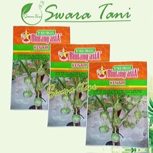 Benih Terong Lalap Hijau KENARI 10gr Bintang Asia 100% Original