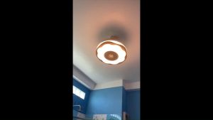 Quạt trần giấu cánh + có đèn trang trí + Có loa loa bluetooth trên quạt + Tặng điều khiển từ xa