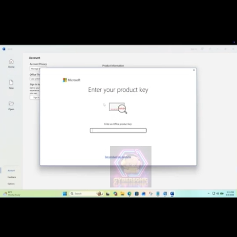 Microsoft Office Professional Plus LTSC 2024 - License Key - Genuine ...
