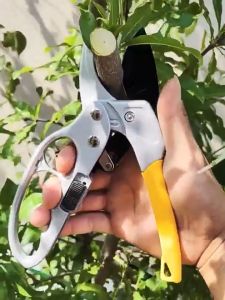กรรไกรตัดกิ่ง กรรไกรสำหรับตัดแต่งกิ่งไม้ ดอกไม้ เครื่องมือจัดทำสวน ใบมีดSK5 เครื่องมือทำสวน ตัดแต่งกิ่งไม้ คีมตัดกิ่งไม้ อุปกรณ์ทำสวน เครื่องมือช่าง
