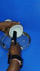 Effortless Rechargeable Electric Coconut Scraper for Fresh Coconut Milk