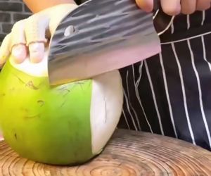 ปังตอหัวโค้ง 25