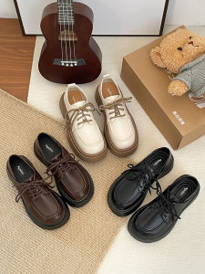 Agsdon | New Autumn Women Oxford Shoes Thick Soled Lace Up Loafers