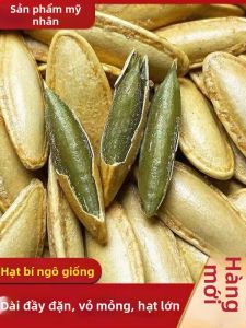 Salt and Pepper Long Kernel Raw Roasted Pumpkin Seeds