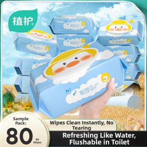 Botare | Flushable Hygienic Wet Wipes 80 Sheets