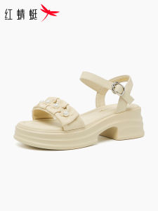 Reddragonfly | Fashionable Thick Sole Beach Sandals
