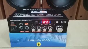 800W G919 Mini Amplifier 12V/220V FM SD HiFi bluetooth 5.0 Stereo Audio Player Power Amplifier Car Home With Remote Control 2.0 Channel Car Audio Power Bass HIFI Music Play