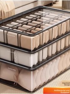 3-in-1 Intimates Underwear Drawer Organizer