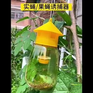 Pheromone Fruit Fly Trap Liquid Fruit Fly Trap Killer Long-Last Deterring Bait Insect Catcher Orchard Insect Pest Control Tools
