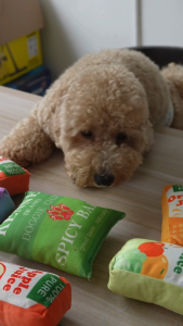 BE10W Kids Snack Time Dog Plush Toy Bundle