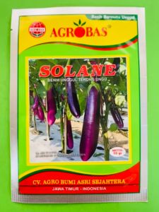 Benih Unggul Terong Ungu SOLANE 10gr terbaikk!!