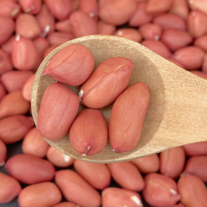 Farmhouse Original Flavor Small Red Skin Peanuts New Stock Can Be Used with White Eyebrow Beans for Soup And Porridge