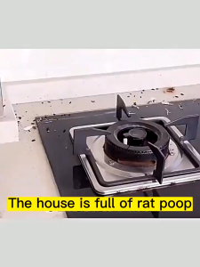Rat repellent gel / Plant safety peppermint rat repellent cream / Home Kitchen Toilet Car Mouse repellent gel