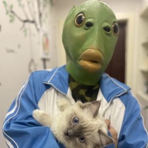 So starry หน้ากากยางรูปปลาคาร์พสีเขียวสําหรับปาร์ตี้ฮาโลวีน / Murloc หน้ากากยางสัตว์หมวกหัวม้า COS อะนิเมะ การ์ตูนการประชุมประจำปี