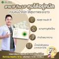 (1แถม2) Dr.Jel LF คุมหิว อิ่มนาน ลดทานจุกจิก สูตรเภสัช by ดีเจพุฒ (3กล่อง 30แคปซูล). 