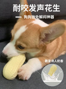Dog Toy Ball Bite-Resistant Molar Sound Peanut Large Dog Corgi/French Bulldog Consume Physical Strength Munchkin Soothing Chews Relieve Stuffy Handy Gadget