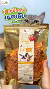 Get Well มินิ แซลมอน อบนิ่ม ขนมหมา ขนมแมว ขนมสุนัข แพ้ไก่ แพ้กลูเตน กินได้