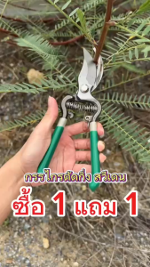 (ซื้อ 1 ฟรี 1 ) กรรไกรสวีเดน ขนาด 810 นิ้ว ใช้สำหรับตัดแต่งกิ่ง ก้านดอก ผล และไม้กระถาง Scissors for cutting branches