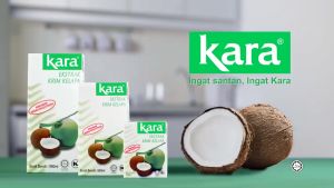 Santan Kara Coconut Cream 200ml x 30 boxes (Carton)