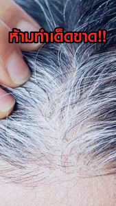 [Dhair 6ซอง] แชมพูปิดผมขาวดีแฮร์ ออร์แกนิกสารสกัดจากสมุนไพรธรรมชาติ ขนาดซอง30ml