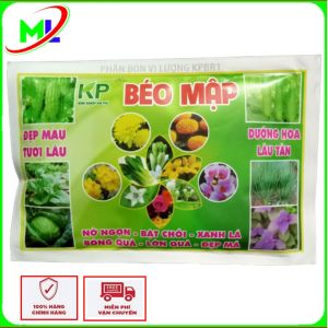 Phân bón béo mập (gói 70g)  mập ngọn bật chồi nhanh xanh lá