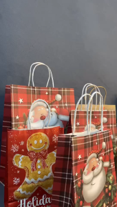 12pcs Christmas Kraft Gift Bags 4 Assorted Style Christmas Paper Bags Bulk Set For Party Present