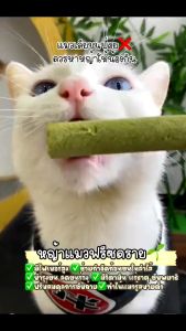 หญ้าแมวฟรีซดราย หญ้าแมวอัดแท่งแบบซอง 6 แท่ง ช่วยขัดฟัน กำจัดก้อนขน ขนมแมว หญ้าแมวผสมไก่ บำรุงขน